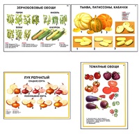 Плакаты ПРОФТЕХ "Ассортимент овощных культур" (12 пл, винил, 70х100) - fgospostavki.ru - Южно-Сахалинск