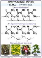 Комплект демонстрационных таблиц по химии "Полимеры" (комплект 12 таблиц) - fgospostavki.ru - Южно-Сахалинск