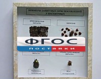 Коллекция энтомологическая "Примеры защитных приспособлений у насекомых" - fgospostavki.ru - Южно-Сахалинск