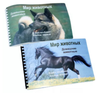 Пособие для слабовидящих - Домашние животные - fgospostavki.ru - Южно-Сахалинск