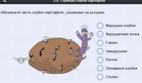Интерактивные курсы. Биология 6 класс. Расширенный - fgospostavki.ru - Южно-Сахалинск