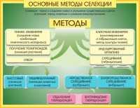 Стенд "Методы селекции и биотехнологии" - fgospostavki.ru - Южно-Сахалинск