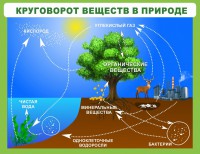 Стенд "Круговорот веществ" - fgospostavki.ru - Южно-Сахалинск