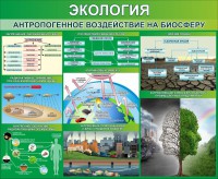Стенд "Экология. Антропогенное воздействие на биосферу" - fgospostavki.ru - Южно-Сахалинск