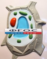 Модель барельефная "Растительная клетка" - fgospostavki.ru - Южно-Сахалинск