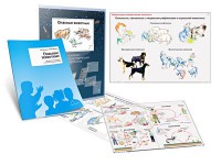 Комплект кодотранспарантов "Опасные животные" - fgospostavki.ru - Южно-Сахалинск