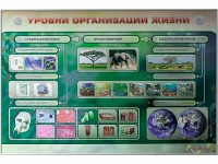 Электрифицированный стенд "Уровни организации жизни" - fgospostavki.ru - Южно-Сахалинск