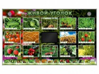 Комплект оборудования "Живой уголок" (растения) - fgospostavki.ru - Южно-Сахалинск