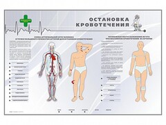 Электрифицированный стенд "Остановка кровотечения" - fgospostavki.ru - Южно-Сахалинск