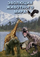 DVD "Эволюция животного мира" - fgospostavki.ru - Южно-Сахалинск