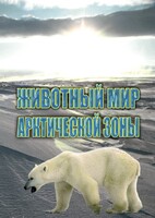 DVD "Животный мир Арктической зоны" - fgospostavki.ru - Южно-Сахалинск