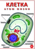 DVD "Клетка - "атом жизни" - fgospostavki.ru - Южно-Сахалинск