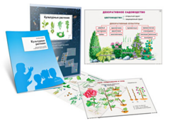 Комплект кодотранспарантов "Культурные растения" - fgospostavki.ru - Южно-Сахалинск