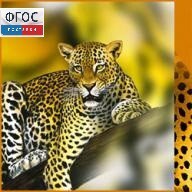 Зоология. (Цифровая база изображений) - fgospostavki.ru - Южно-Сахалинск