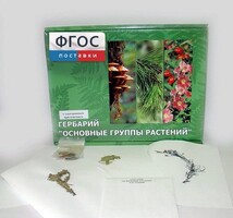 Гербарий "Основные группы растений" (52 листа) - fgospostavki.ru - Южно-Сахалинск
