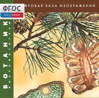 Ботаника. Микрофотографии. (Цифровая база изображений) - fgospostavki.ru - Южно-Сахалинск