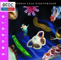 Биология. Микрофотографии. (Цифровая база изображений) - fgospostavki.ru - Южно-Сахалинск