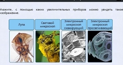 Интерактивные курсы. Биология 5 класс. Расширенный - fgospostavki.ru - Южно-Сахалинск