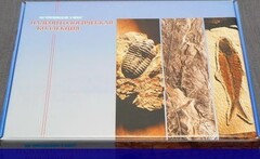 Коллекция "Палеонтологическая" (16 образцов) - fgospostavki.ru - Южно-Сахалинск