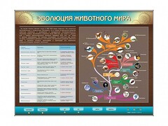 Интерактивный электрифицированный стенд "Эволюция животного мира" - fgospostavki.ru - Южно-Сахалинск
