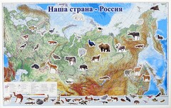 Магнитные карточки "Животные" - fgospostavki.ru - Южно-Сахалинск