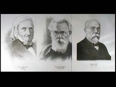Портреты биологов (26 штук, формат А3) - fgospostavki.ru - Южно-Сахалинск