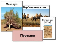 Модель-аппликация "Природные зоны России" (ламинированная) - fgospostavki.ru - Южно-Сахалинск