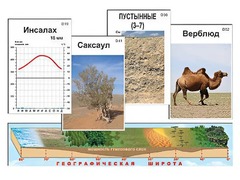 Модель-аппликация "Природные зоны" - fgospostavki.ru - Южно-Сахалинск