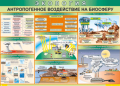 Таблица "Антропогенное воздействие на биосферу" (100х140 сантиметров, винил) - fgospostavki.ru - Южно-Сахалинск