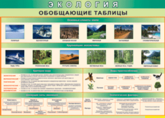 Таблица "Экология. Обобщающие таблицы" (100х140 сантиметров, винил) - fgospostavki.ru - Южно-Сахалинск
