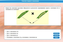 Интерактивные курсы. Биология 11 класс. Базовый. - fgospostavki.ru - Южно-Сахалинск