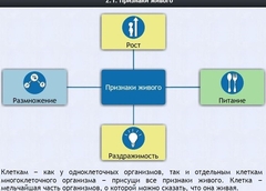 Интерактивные курсы. Биология 5 класс. Базовый - fgospostavki.ru - Южно-Сахалинск