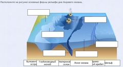 Интерактивные курсы. География 7 класс . Базовый. - fgospostavki.ru - Южно-Сахалинск