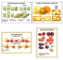 Плакаты ПРОФТЕХ "Ассортимент овощных культур" (12 пл, винил, 70х100) - fgospostavki.ru - Южно-Сахалинск