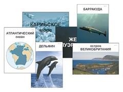 Модель-аппликация "Океаны. Знакомство" (ламинированная) - fgospostavki.ru - Южно-Сахалинск