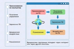 Интерактивные курсы. Информатика 10 класс . Базовый. - fgospostavki.ru - Южно-Сахалинск