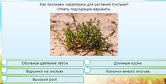 Интерактивные курсы. Окружающий мир 3 класс . Базовый. - fgospostavki.ru - Южно-Сахалинск