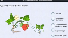 Интерактивные курсы. Биология 7 класс. Расширенный. - fgospostavki.ru - Южно-Сахалинск