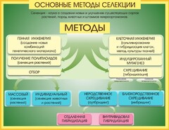 Стенд "Методы селекции и биотехнологии" - fgospostavki.ru - Южно-Сахалинск