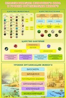 Стенд "Классификация животного мира" - fgospostavki.ru - Южно-Сахалинск