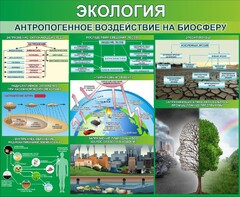 Стенд "Экология. Антропогенное воздействие на биосферу" - fgospostavki.ru - Южно-Сахалинск