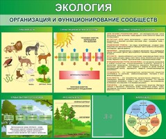 Стенд "Экология. Организация и функционирование сообществ" - fgospostavki.ru - Южно-Сахалинск