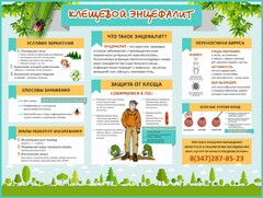 Стенд "Клещевой энцефалит" - fgospostavki.ru - Южно-Сахалинск