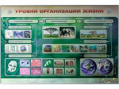 Электрифицированный стенд "Уровни организации жизни" - fgospostavki.ru - Южно-Сахалинск