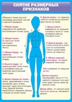 Стенд "Снятие мерок" Вариант 2 - fgospostavki.ru - Южно-Сахалинск