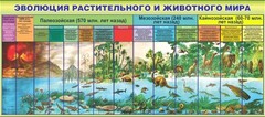 Стенд "Эволюция растительного и животного мира" - fgospostavki.ru - Южно-Сахалинск