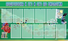 Стенд "Подготовка к ЕГЭ и ОГЭ по биологии" Вариант 2 - fgospostavki.ru - Южно-Сахалинск