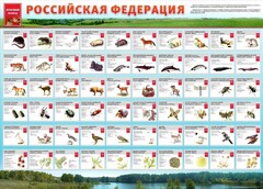 Стенд "Красная книга РФ" - fgospostavki.ru - Южно-Сахалинск