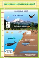 Стенд "Строение биосферы" - fgospostavki.ru - Южно-Сахалинск