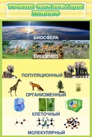 Стенд "Уровни организации живого" - fgospostavki.ru - Южно-Сахалинск